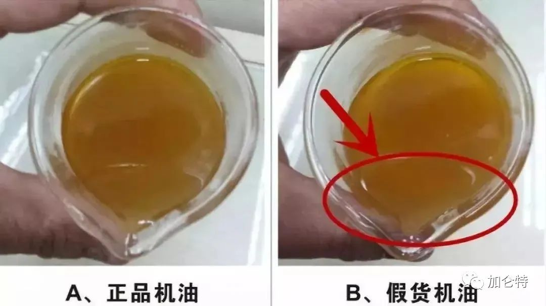 55世纪-购彩大厅welcome(中国游)官方网站