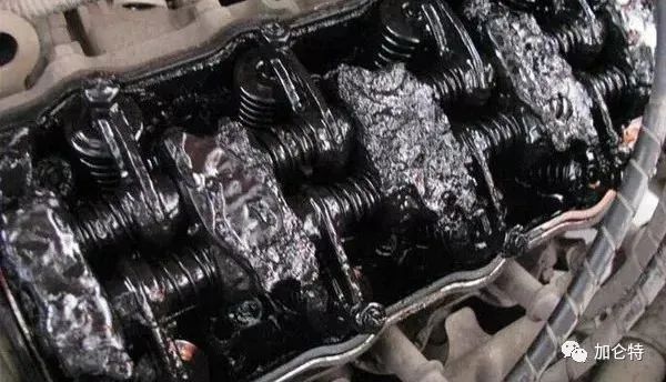 55世纪-购彩大厅welcome(中国游)官方网站